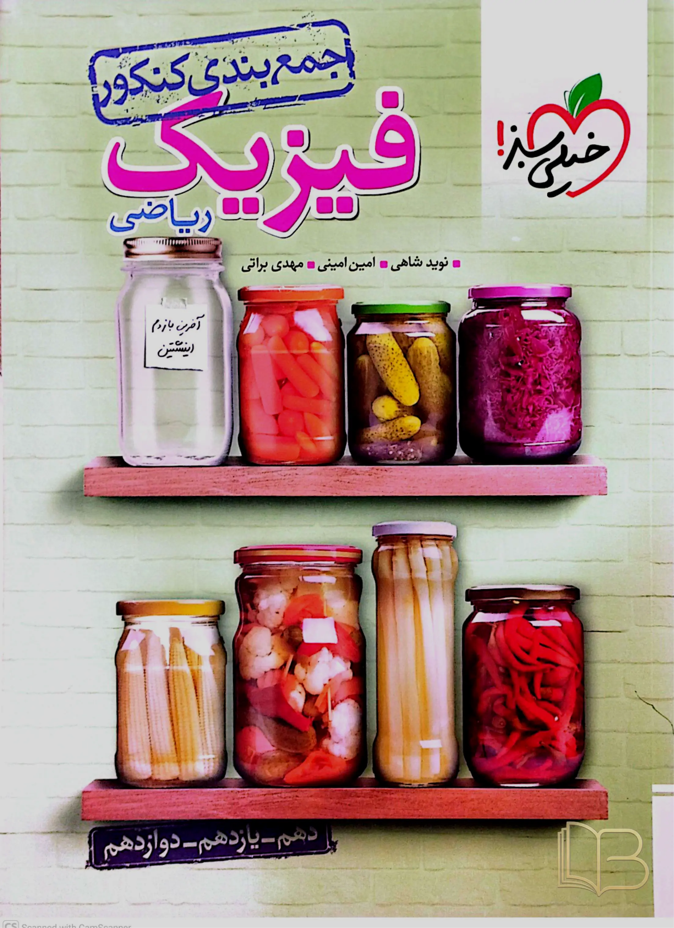 فیزیک ریاضی